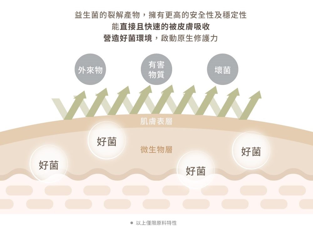 益生菌保養的功效和好處